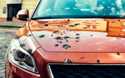 Wash the Bird Droppings Off Buildings, Cars, and More