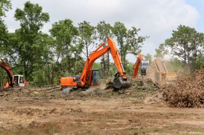 Tree Clearing