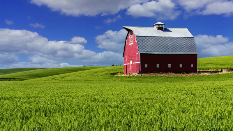 Barn Construction