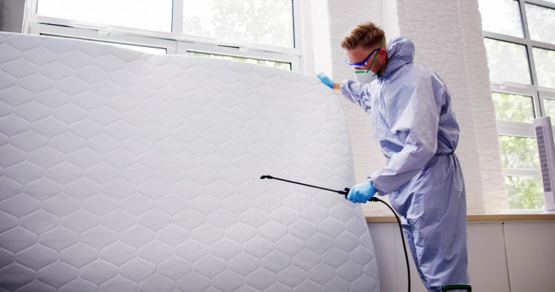 Bed Bug Extermination