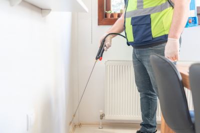 Carpenter Ant Extermination