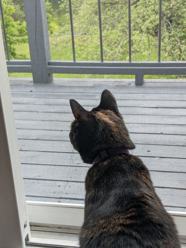 Cat Door Installation