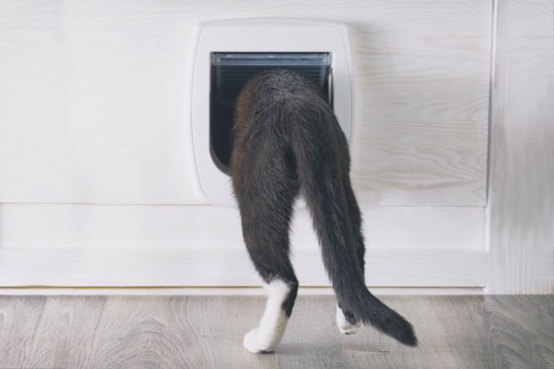 Cat Door Installation