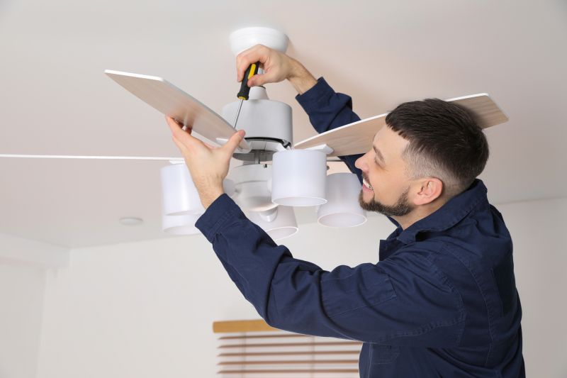 Ceiling Fan Service