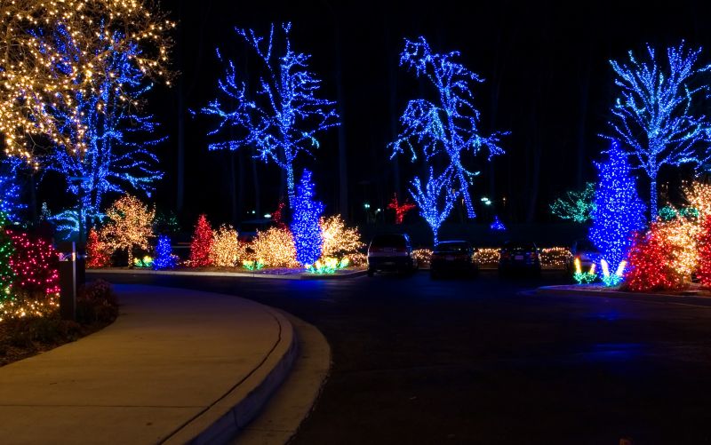 Christmas Lights Installation