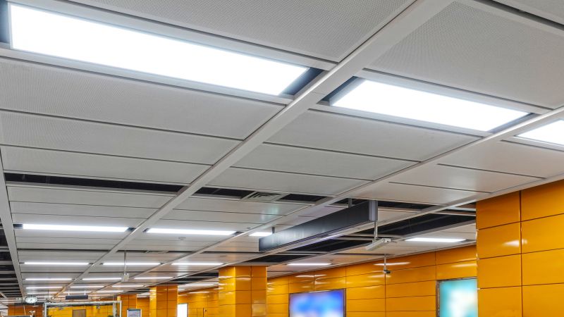 Commercial Ceiling Painting