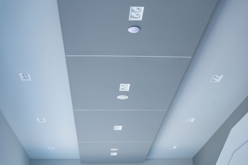 Commercial Ceiling Painting