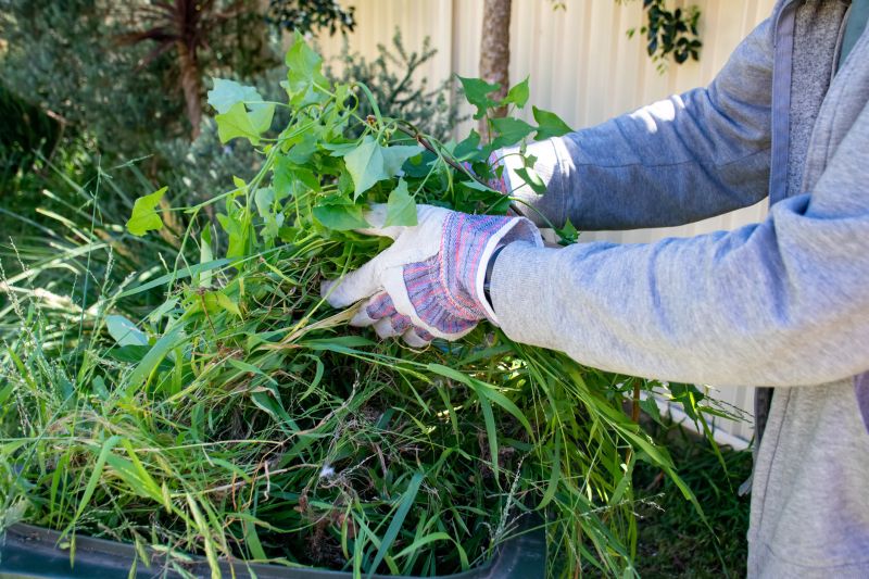 Commercial Garden Maintenance