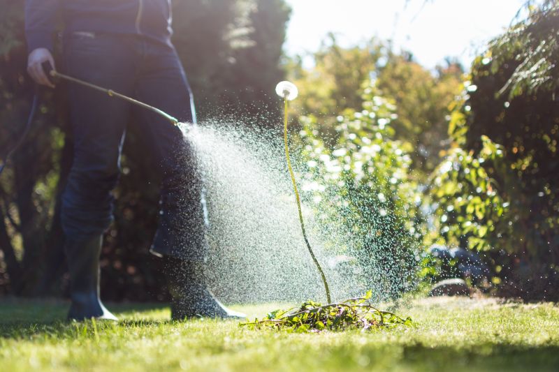 Commercial Garden Maintenance