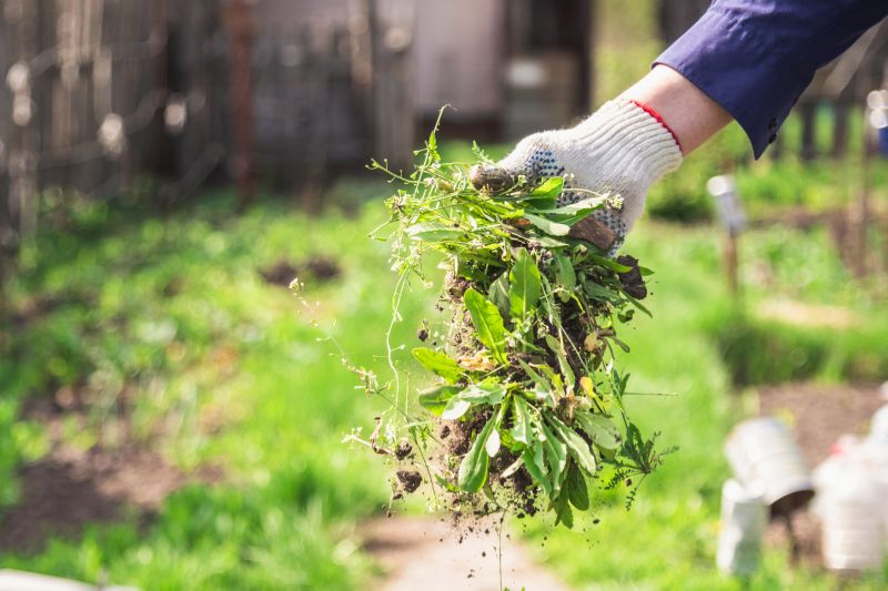 Commercial Garden Maintenance
