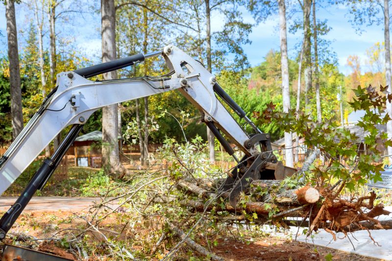 Commercial Land Clearing