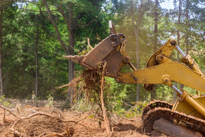 Commercial Land Clearing