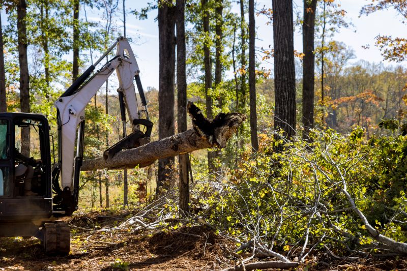 Commercial Land Clearing