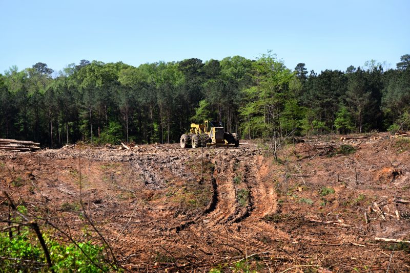Commercial Land Clearing