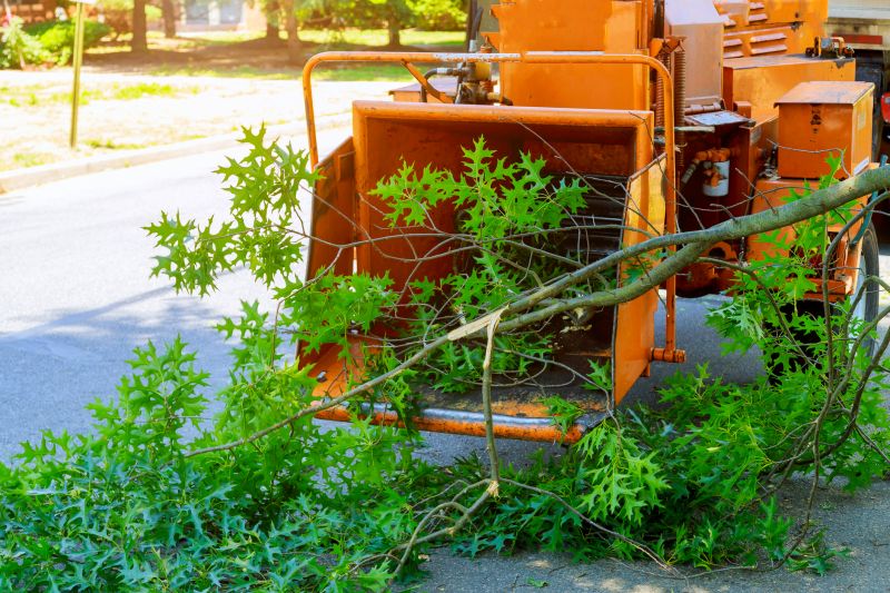 Commercial Mulching