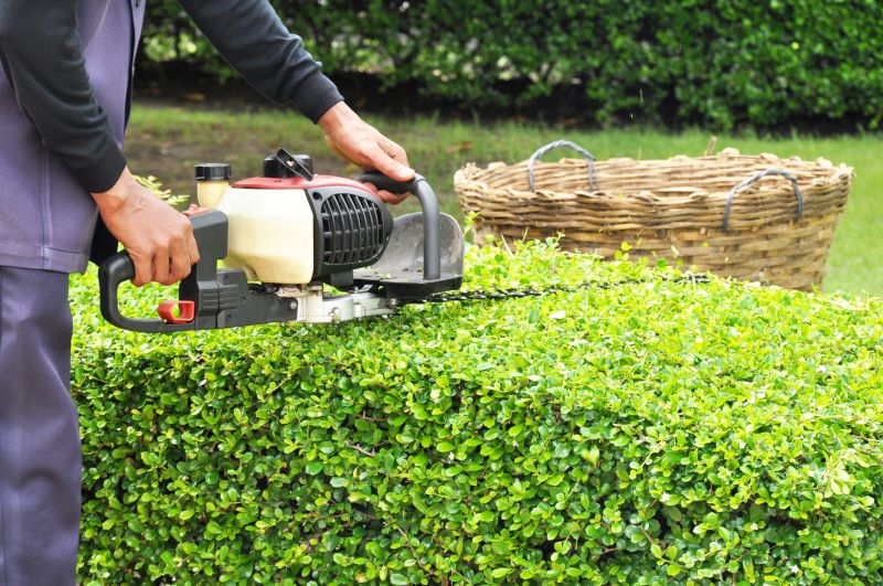 Commercial Shrub Trimming