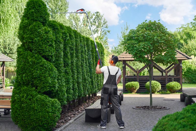 Commercial Shrub Trimming