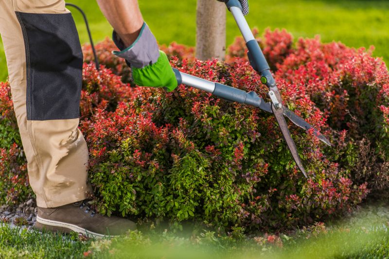 Commercial Shrub Trimming