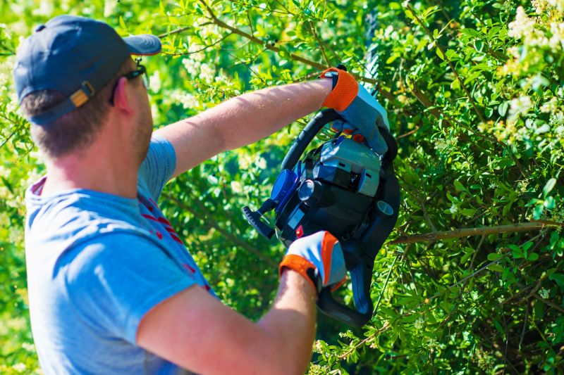 Commercial Shrub Trimming