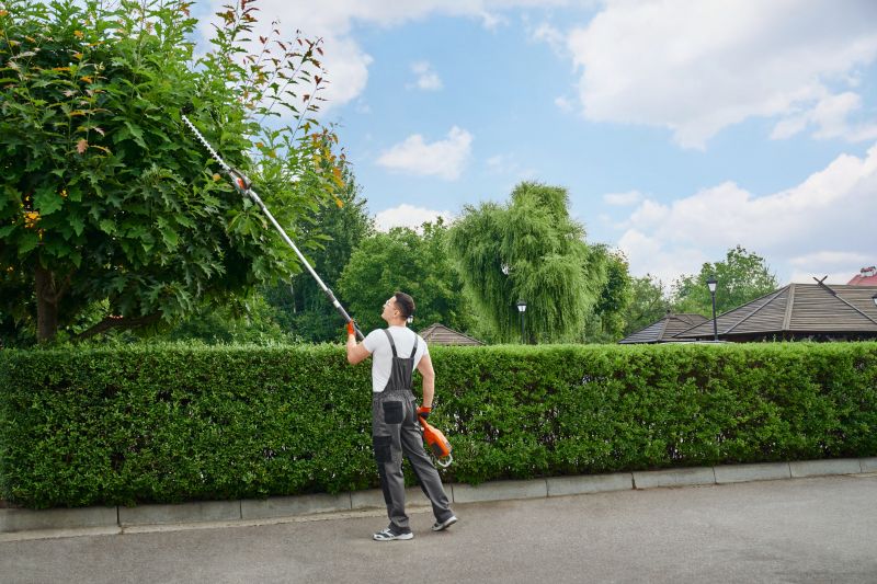 Commercial Shrub Trimming