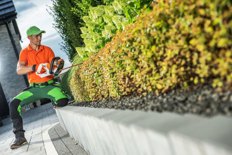Commercial Shrub Trimming