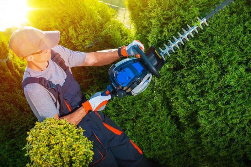 Commercial Shrub Trimming