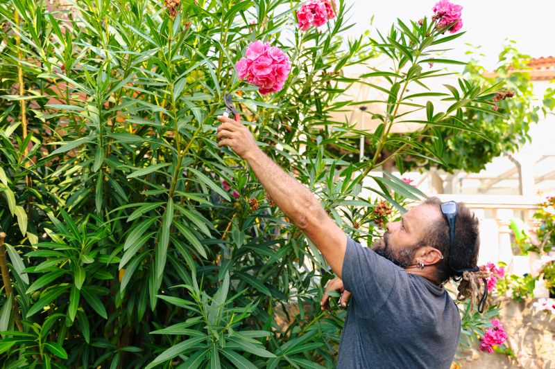 Commercial Shrub Trimming