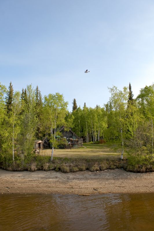 Commercial Site Clearing