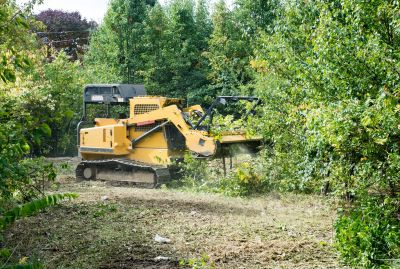Commercial Site Clearing