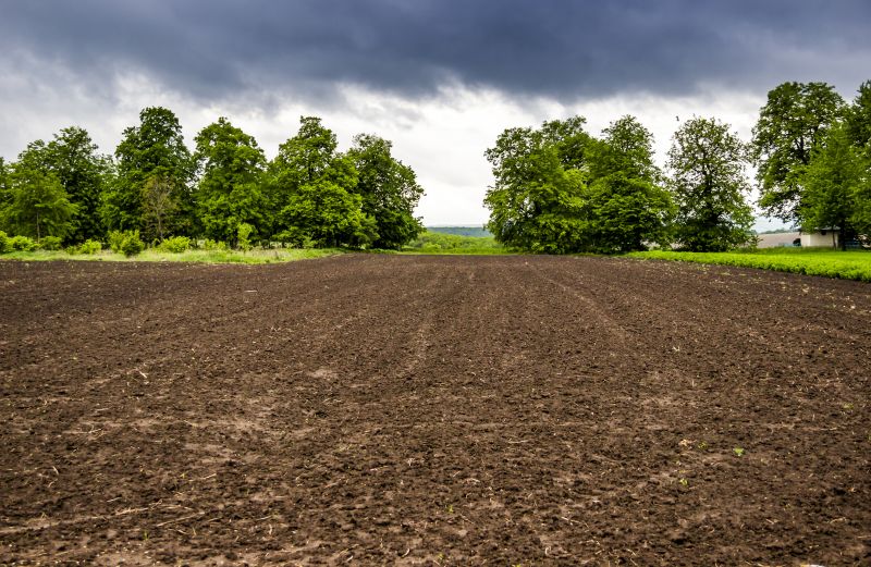 Commercial Site Clearing