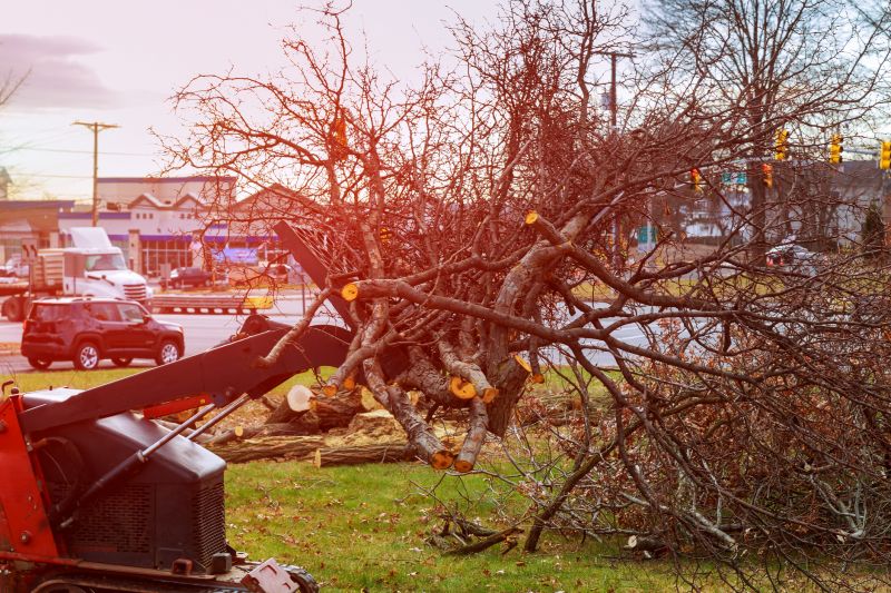 Commercial Site Clearing