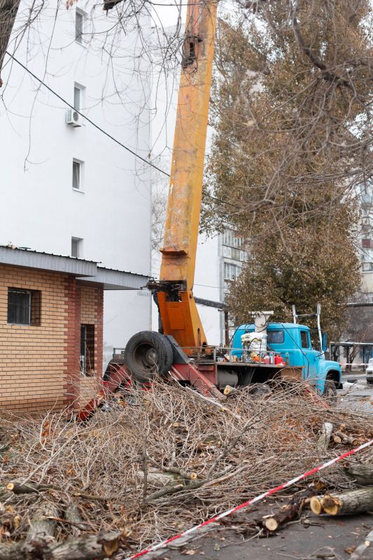 Commercial Site Clearing