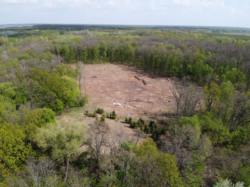 Commercial Site Clearing