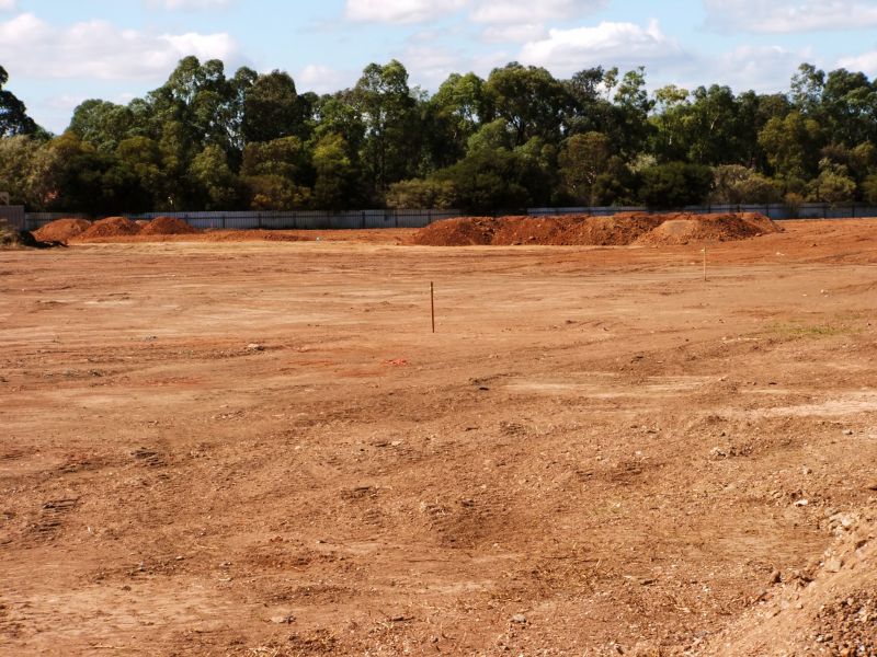 Commercial Site Preparation