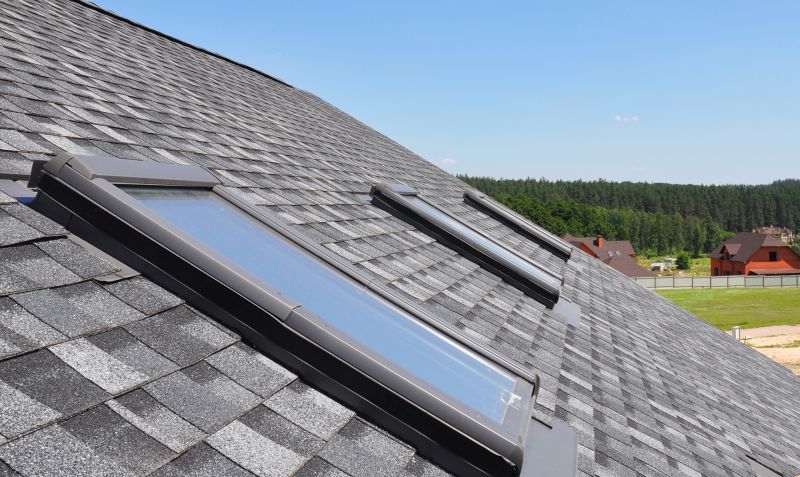 Commercial Skylight Service