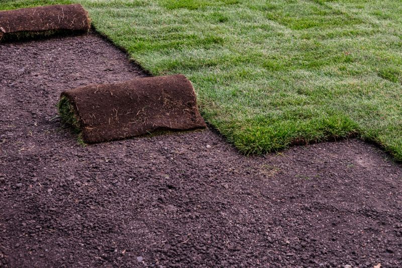 Commercial Sod Installation