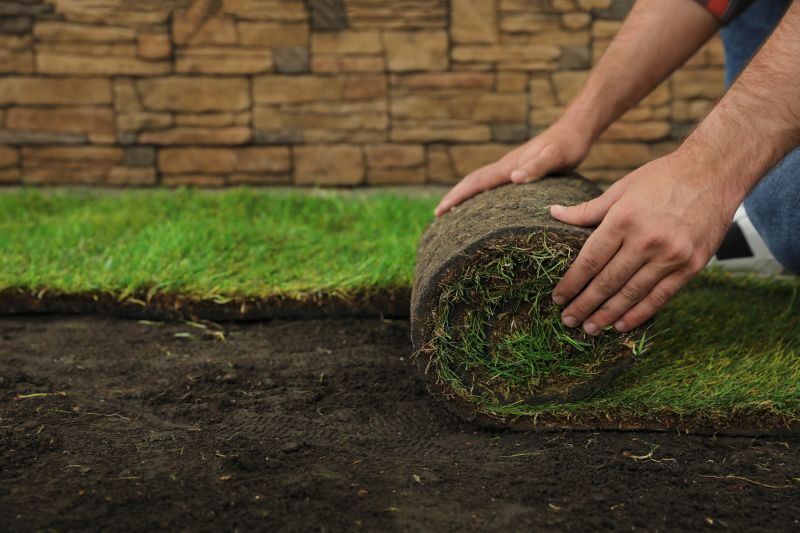 Commercial Sod Installation