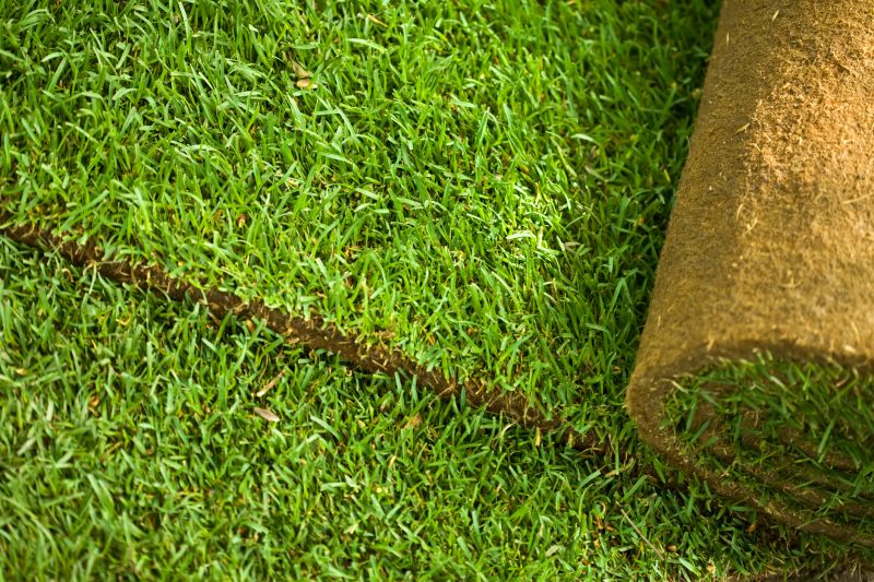 Commercial Sod Installation