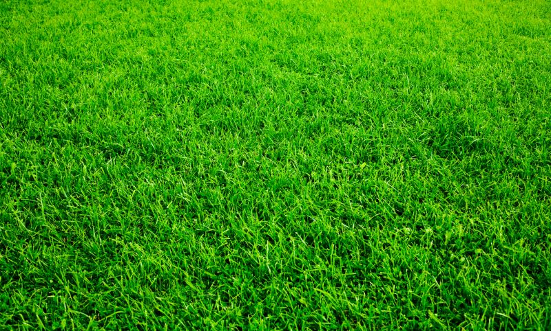 Commercial Sodding