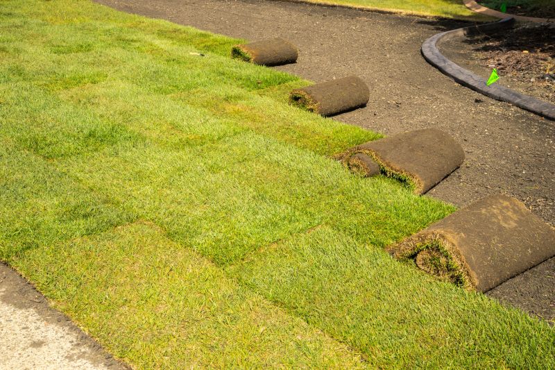 Commercial Sodding