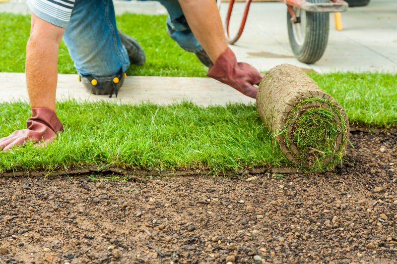Commercial Sodding