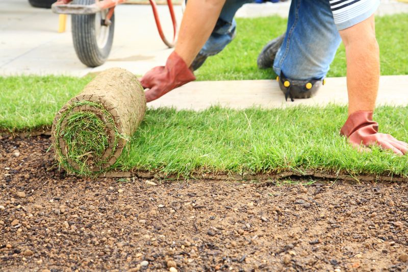 Commercial Sodding