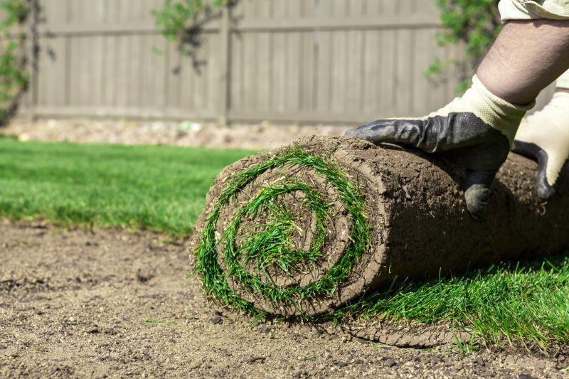 Commercial Sodding