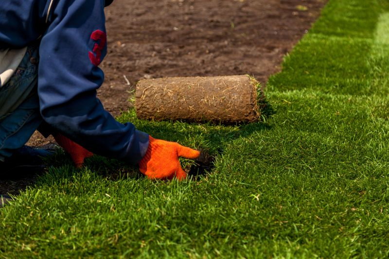 Commercial Sodding