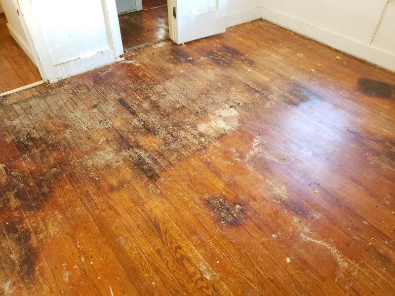 Commercial Wood Floor Repair