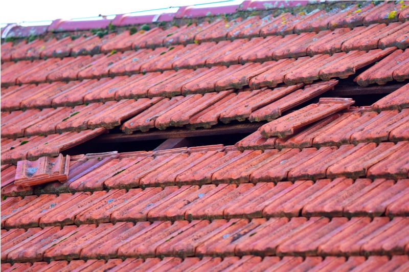 Damaged Tile Replacement