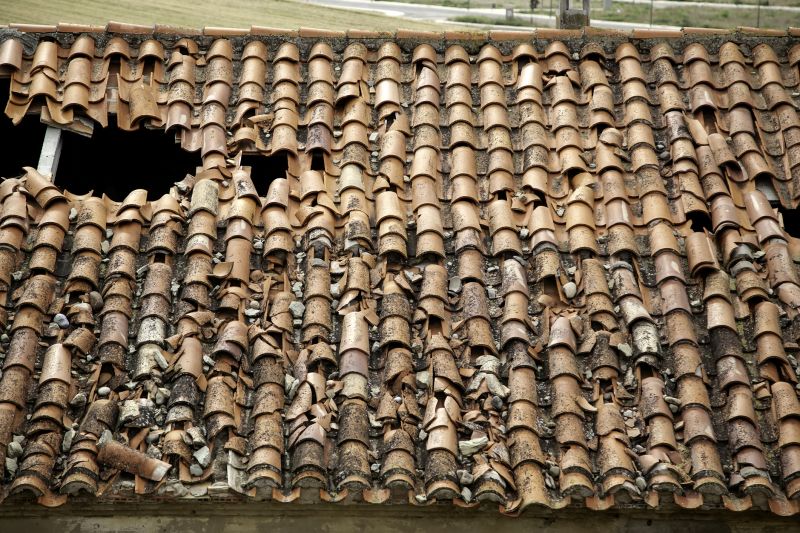 Damaged Tile Replacement