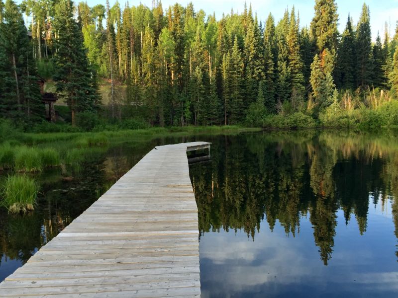 Dock Repair