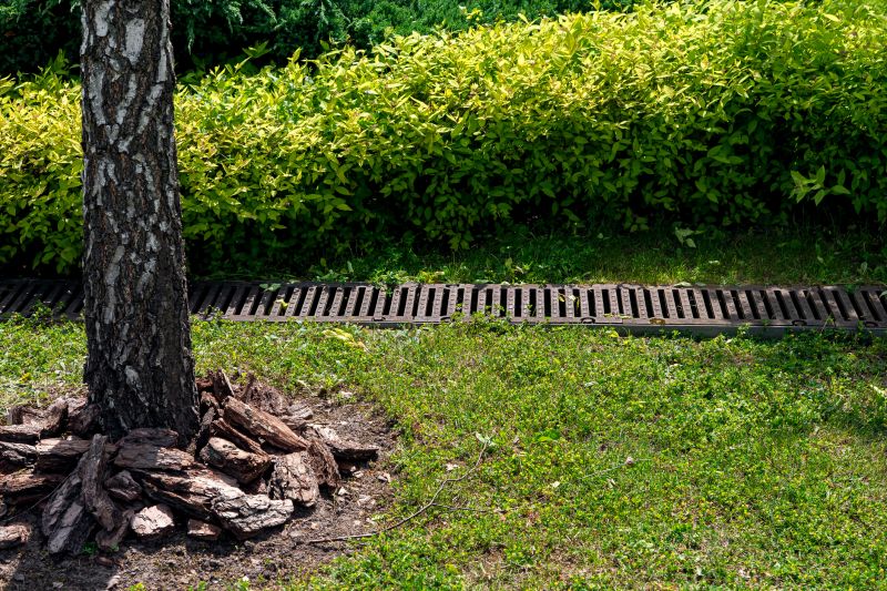 Drainage Grading Service
