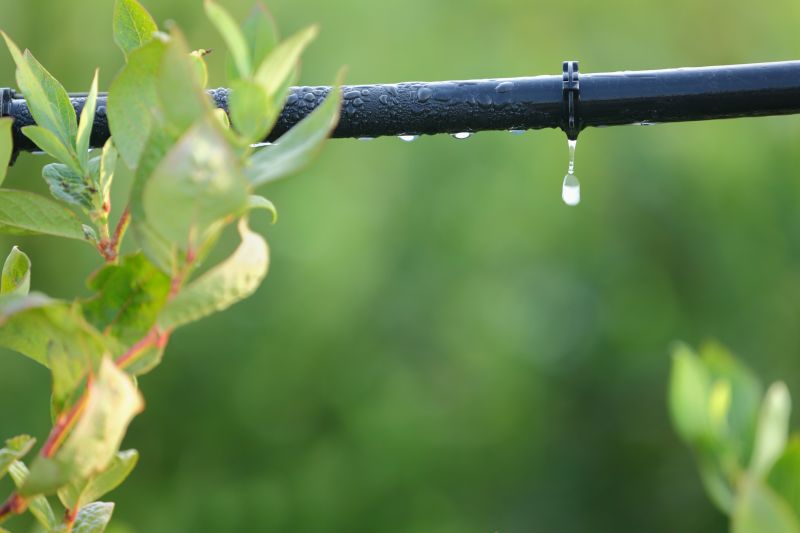 Drip Irrigation Installation